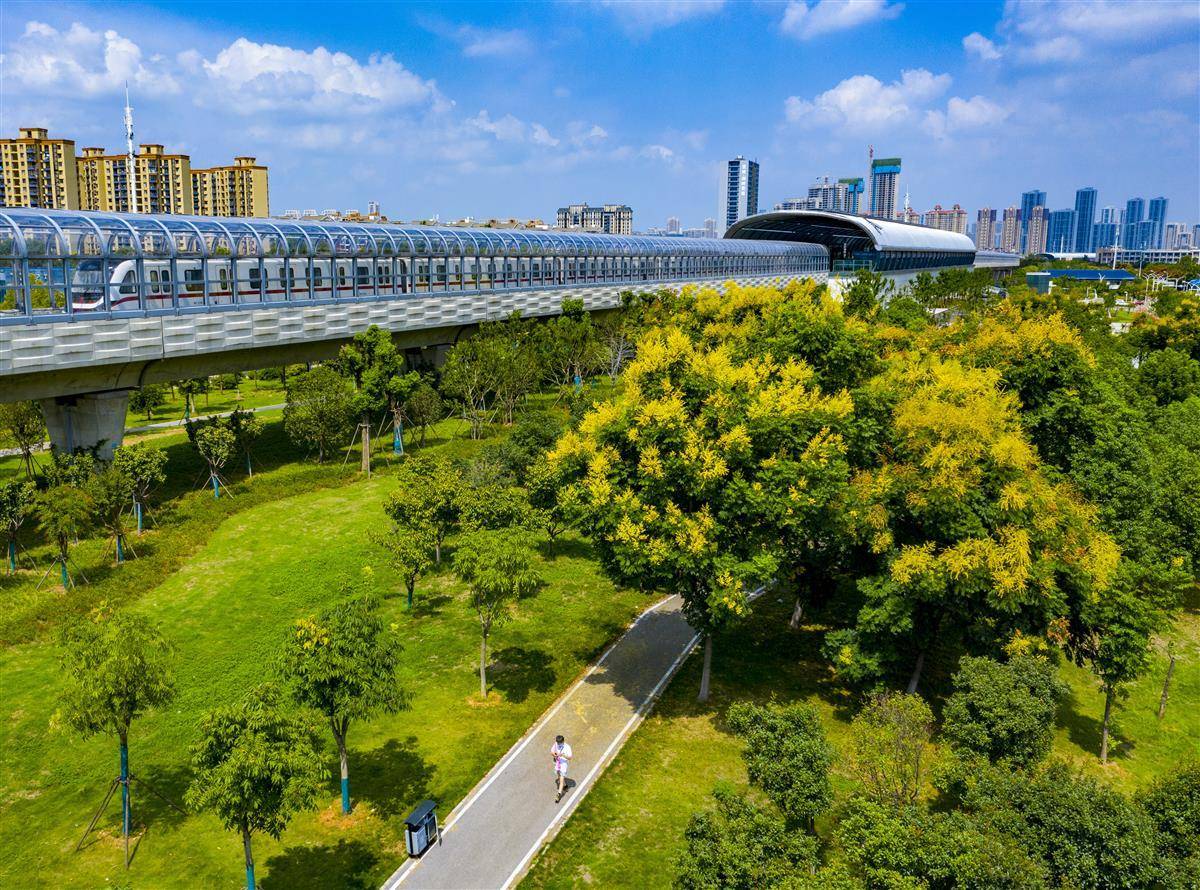 百老汇平台注册